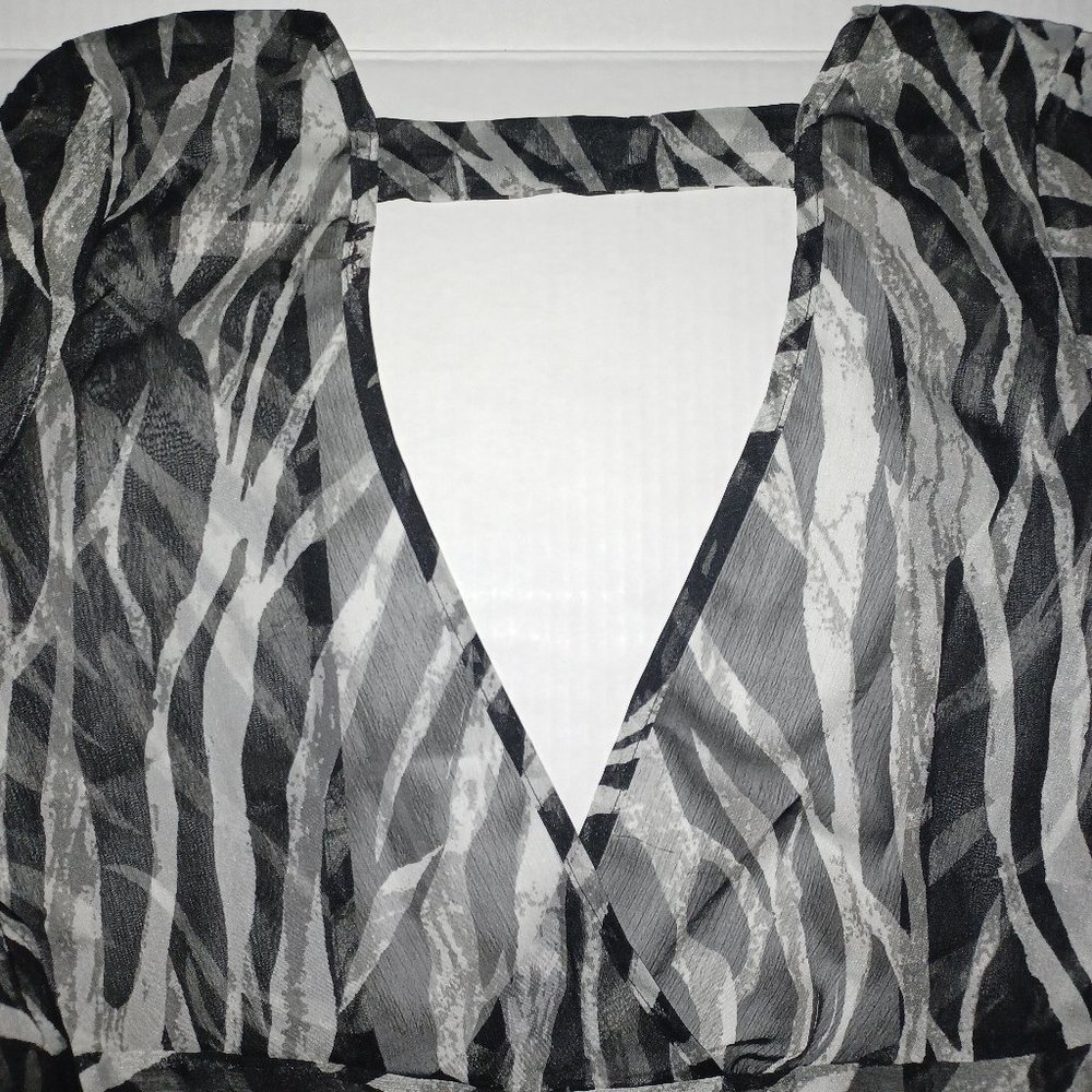 EMERALD LONG SLEEVE SHEER ZEBRA PRINT TOP - Picture 1 of 11